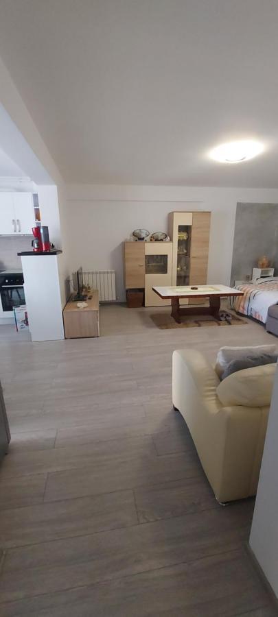 Năvodari Apartament Nina 아파트 외부 사진